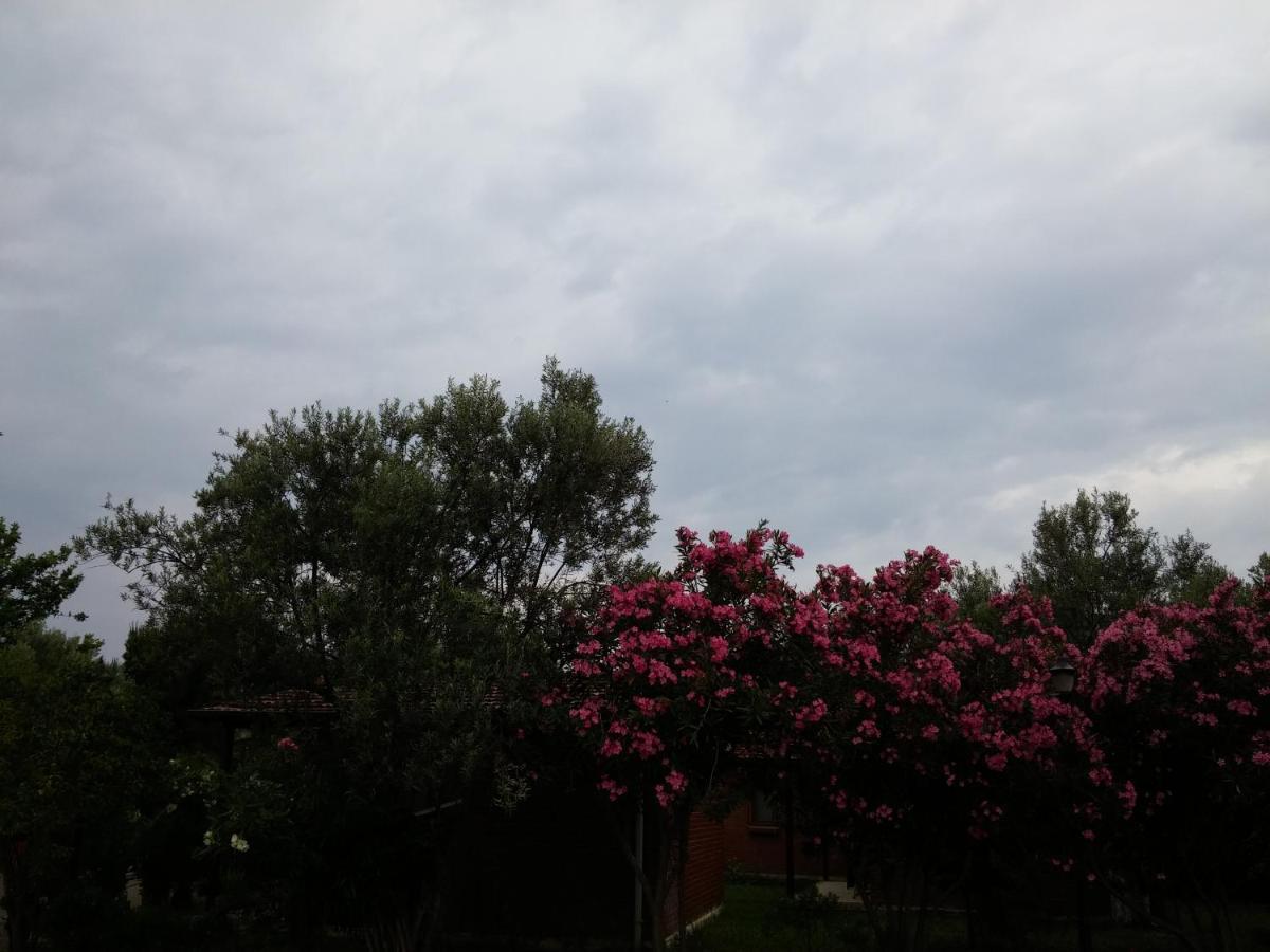 Kervan Tatil Koeyue Edremit  Bagian luar foto